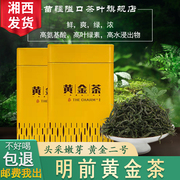湘西黄金茶2023新茶，250g罐装高山绿茶，礼盒装明前头采黄金二号绿茶