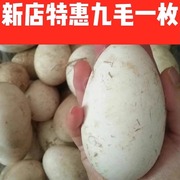 12枚新鲜鹅蛋农家散养大鹅蛋野外河水放养孕妇用鹅蛋土大个头好蛋
