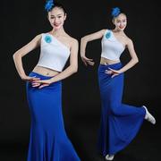 傣族舞蹈服装练功服鱼尾裙，半身裙长裙孔雀舞，表演服装民族演出服