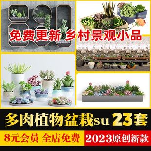 现代北欧新中式乡村农村多肉，植物盆栽盆景景观，小品草图大师su模型