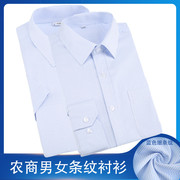 男女白底蓝条纹衬衣，银行职业工装工作服衬衫信用合作社农商行行服