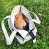 猫包外出单肩提袋手提中小型犬狗背包宠物透气大容量斜跨帆布提包