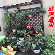 落地式梯阶网格花盆架，化实木吊兰防腐木，花架子室内阳台花架碳多层