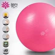 体操球瑜珈装备室内器材大球，助产顺产瑜伽，球按摩孕训练器瑜珈球加
