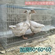 兔子笼鸽子养殖笼鸡笼家用养鹅笼铁丝网片组装笼运输笼大号子母笼