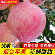 正宗山东烟台红富士苹果脆甜水果，新鲜当季整箱5斤一级栖霞苹果