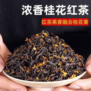 2024新茶桂花红茶武夷正山小种特级浓香型奶茶茶叶500g