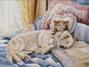 印花dmc十字绣线绣客厅卧室玄关，油画动物酣睡的猫与狗