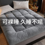 羊羔绒床垫软垫加厚冬季单人学生宿舍家用榻榻米牛奶绒床褥子垫被