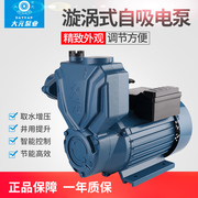 大元WZB单相自吸高压泵高扬程家用自来水增压泵抽水泵水塔增压泵