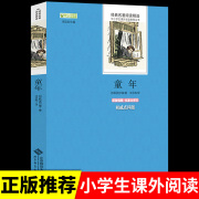 童年高尔基正版高尔基的童年书读正版六年级上册，语文书目快乐读书吧老师，6年级上小学生课外书教师小学课外阅读书籍