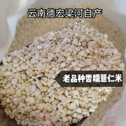 老品种糯薏仁米云南德宏梁河特产香糯薏仁米食用农产品500g