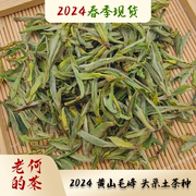 2024 黄山毛峰 头采土茶种