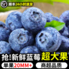 本土云南蓝莓新鲜当季水果，孕妇即食蓝梅鲜果，高山怡颗甜蓝莓大果