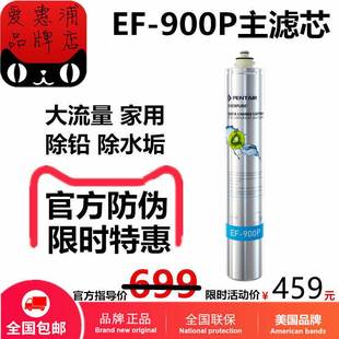 pentair滨特尔everpure爱惠浦ef-900p净水器，主滤芯过滤器ev985115