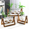 创意烧杯水培木架容器，绿萝植物玻璃花瓶办公室桌面，摆件插花瓶装饰