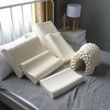 芝英 泰国天然乳胶枕芯 枕头芯子 无外套裸芯 保护颈椎 防螨抗菌