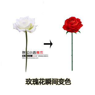 Rose2.0 Color change 玫瑰变色大花朵带磁版本近景儿童魔术道具