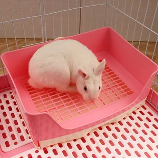 兔兔用品厕所龙猫豚鼠，荷兰猪尿盆大号兔子通用小号三角便盆屎盆