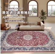 进口波斯地毯高级现代客厅卧室，美式轻奢欧式复古茶几毯耐脏地垫