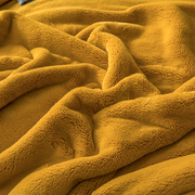 定制珊瑚绒毯子冬季加厚法兰绒毛毯床单人毛巾被空调毯午睡盖毯小