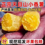 天目山小香薯5斤临安板栗，小红薯新鲜食用地瓜产地手指番薯甜9