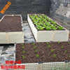 阳台种菜盆蔬菜种植箱长方形花盆特大塑料种植盆户外花箱庭院花槽