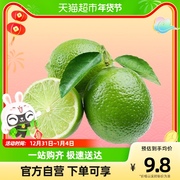四川安岳青柠檬2粒200g