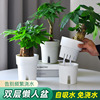懒人绿萝植物自动吸水花盆透明水培器皿塑料玻璃，水养花瓶绿箩专用