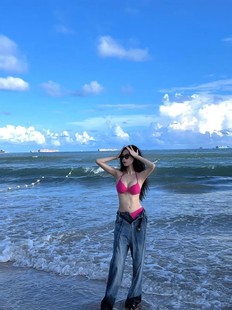 欧美风性感泳衣女沙滩度假ins比基尼粉色大小胸聚拢三点式泡温泉