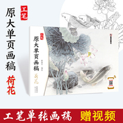 墨点中国画原大画稿工笔荷花国画工具临摹成人大学生国画入门基础教程初学者初学入门儿童学国画入门教材