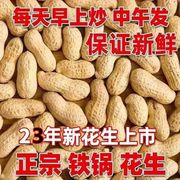 23年新货原味炒花生农家铁锅沙，炒货带壳年货，现炒现发即食香脆零食