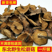 东北特产野生松蘑菇干货500g粘团子松蛾粘蛾子松蘑野生松菇