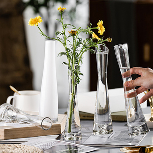 北欧风格ins风小花瓶，客厅插花摆件玻璃，透明水养鲜花迷你简约花器