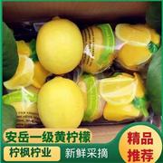 安岳尤力克黄柠檬(黄柠檬)新鲜果园直发双胞胎5斤装柠檬皮薄汁多