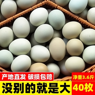 知楚大乌鸡蛋40枚整箱新鲜绿(新鲜绿)壳蛋正宗农家土鸡蛋鲜鸡蛋农村乌骨鸡
