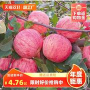 苹果树果苗南方北方种植苹果树苗嫁接红富士冰糖心盆栽地栽小树苗