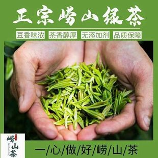 2024正宗青岛崂山绿茶明前头采春茶，芽手工扁茶卷曲豆香浓500g礼盒