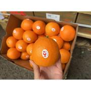 澳洲进口ACE橙子金巴利脐橙新鲜孕妇水果5斤装礼盒榨汁多省