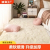地毯卧室床边毯加厚坐垫少女房间客厅茶几毯毛毯地垫入户家用