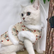 宠物衣服秋冬加绒碎花新年裙子泰迪比熊狗狗猫咪过年牵引马甲