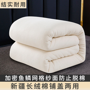 新疆棉花被棉胎垫被被芯棉被床垫软垫棉絮，垫床褥秋冬垫被加厚睡垫