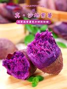紫薯新鲜紫地瓜农家自种10斤当季紫罗兰烟薯小香薯，凉薯沙地1