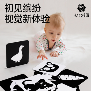 新生儿黑白卡片视觉激发闪卡彩色，看图识物宝宝婴儿，益智认知早教卡