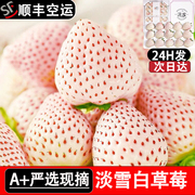 淡雪草莓白色草莓新鲜孕妇水果礼盒装日本白雪公主白草莓空运