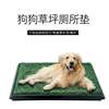 狗厕所中型犬草坪便盆，宠物尿垫泰迪中大型尿盆，训练定点排便马桶