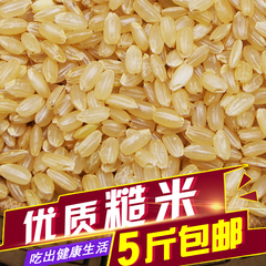 新货东北 糙米 胚芽糙米会发芽的糙米500克