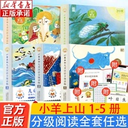 小羊上山儿童分级读物全套第12345级3-6-7岁幼小衔接儿童，识字书幼儿认字汉语，启蒙宝宝书籍绘本幼儿园幼儿识字中文自主阅读第5级