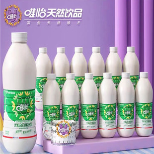 1450ml大唯怡90天然维e饮品绿标花生植物，蛋白饮料坚果豆奶960ml