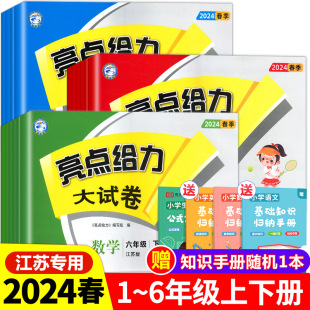 2024春新版亮点给力大试卷一年级下册二年级下三四五六上册小学语文数学英语全套人教版苏教版译林江苏专用同步期末测试卷123456SJ